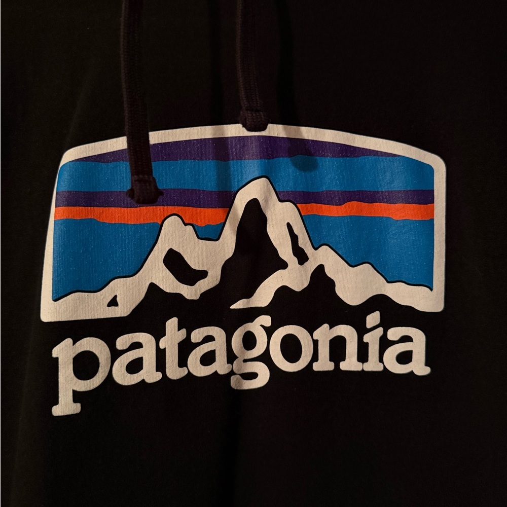 Patagonia Black Hoodie with Vibrant Logo